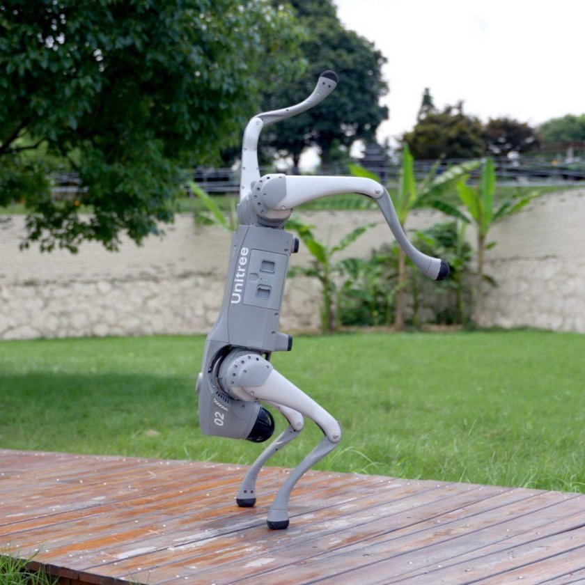 Собака робот go2