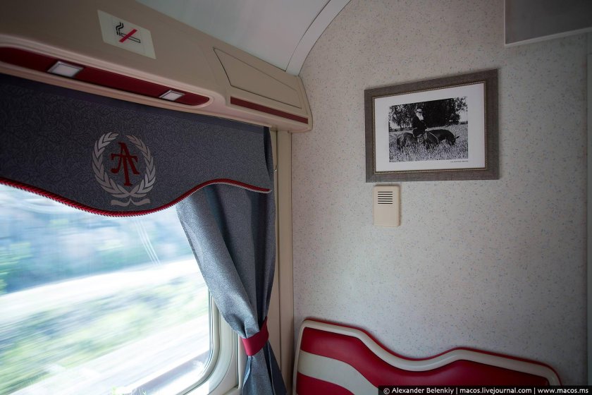 Фирменный поезд Лев толстой