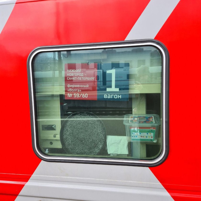 Поезд Волга Нижний Новгород Санкт-Петербург