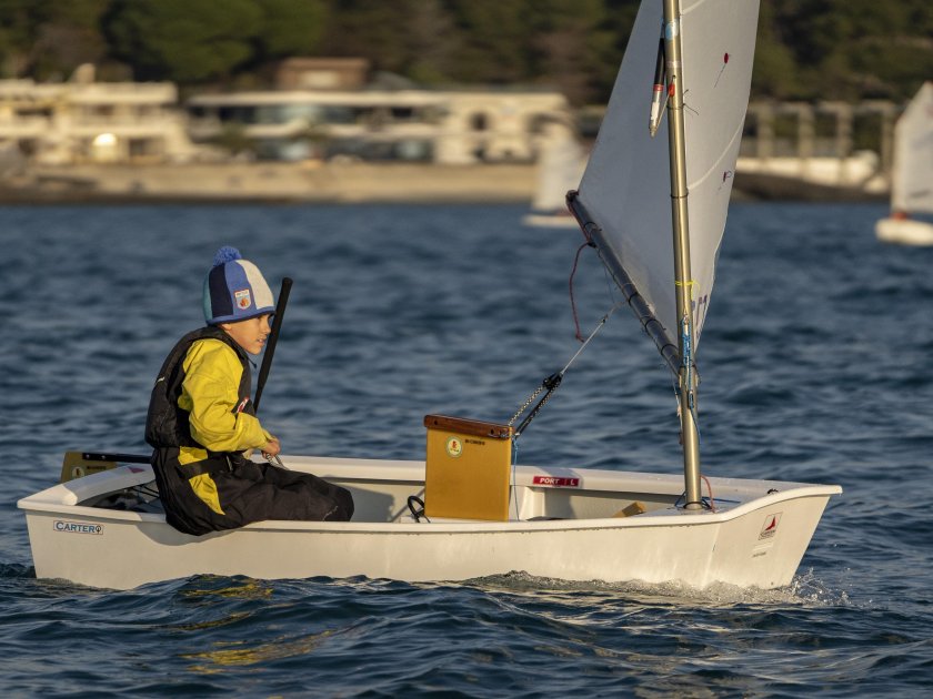 Оптимист швертбот