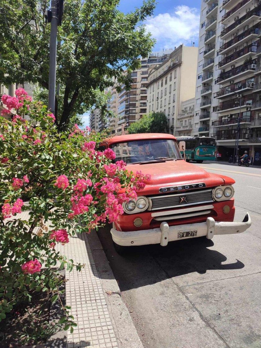 Переезд в аргентину