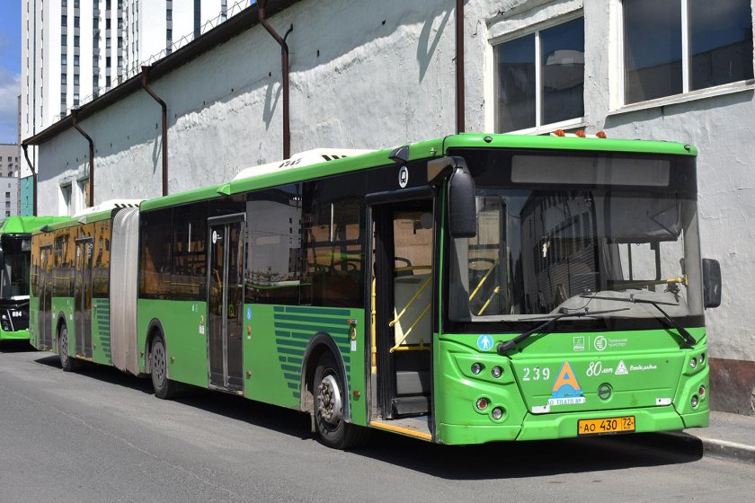 Тюменская область лиаз 6213 65