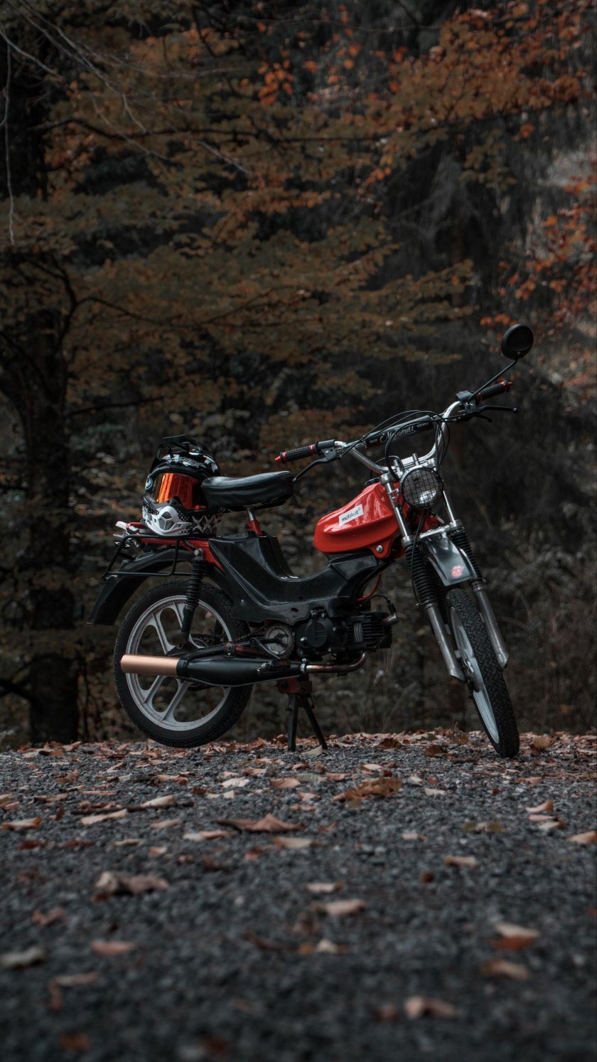 Заставка с мопедом