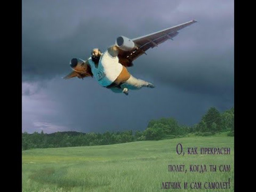 Прикольные пожелания хорошего полета