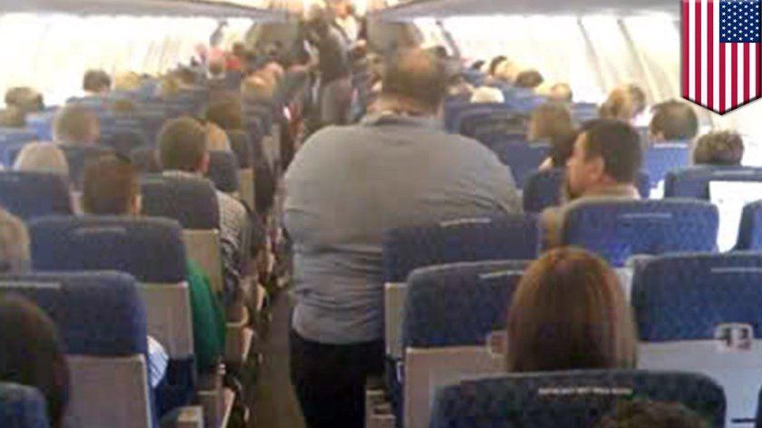 Толстяк в самолете