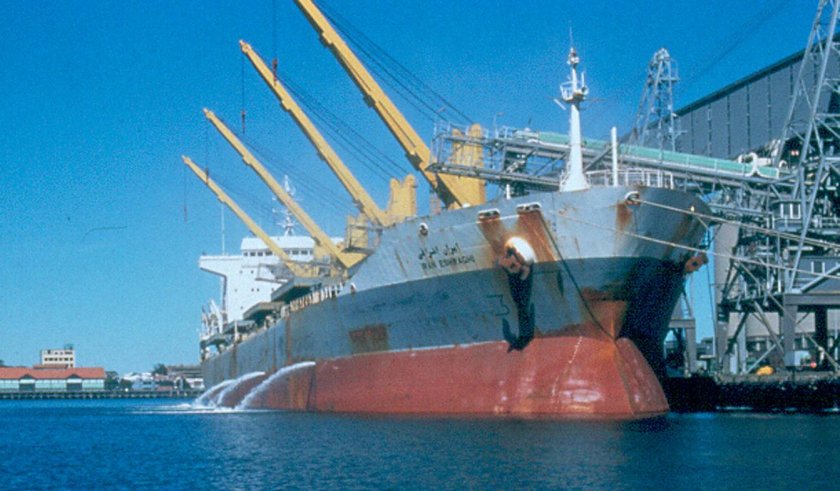 Балластные воды судов это