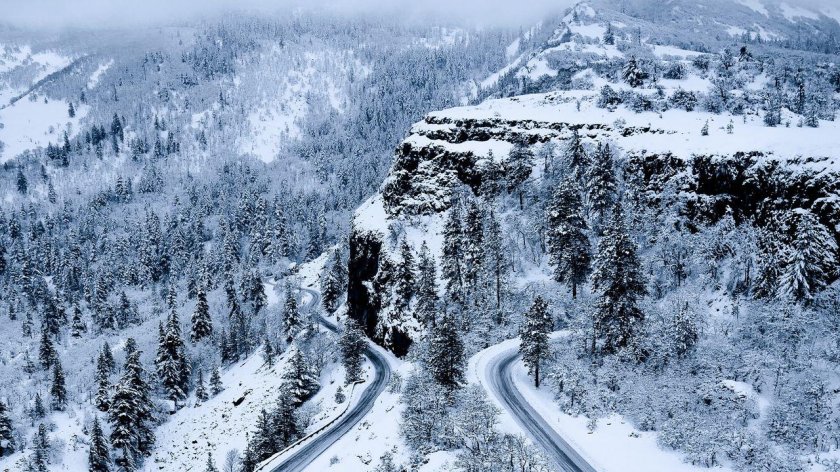 Зимний лес сверху