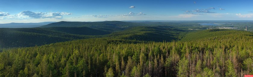 Тайга Якутии