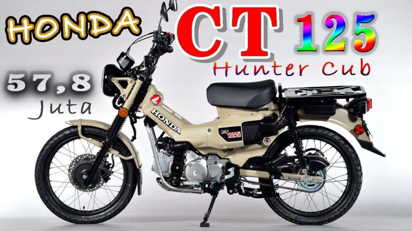 Honda ct125 Hunter Cub