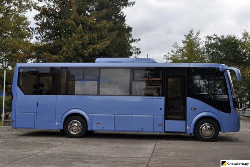 ПАЗ вектор next 8.8