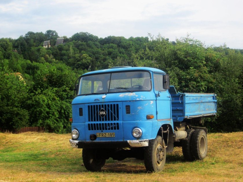 IFA w50