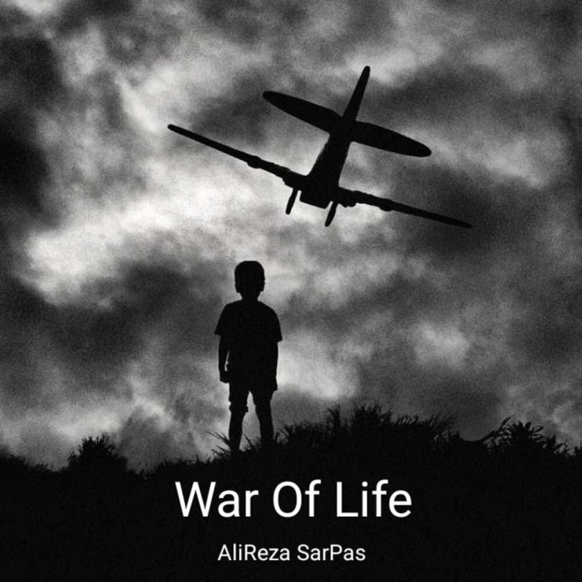 Грустный самолет