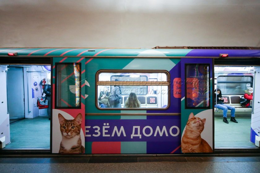 Тематический поезд в метро