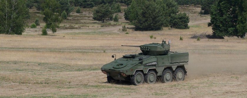 Бмп boxer — vilkas.