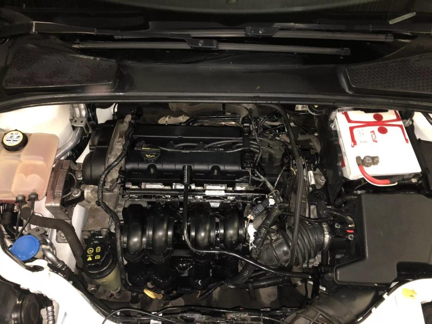 Форд фокус 2 под капотом 1.6