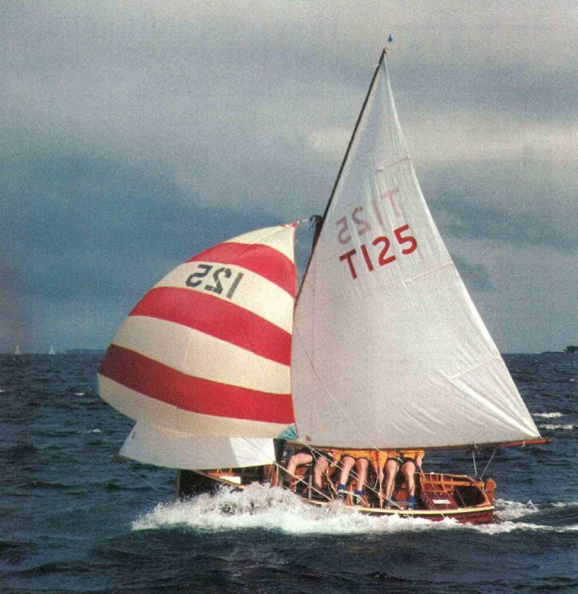 Швертбот 420