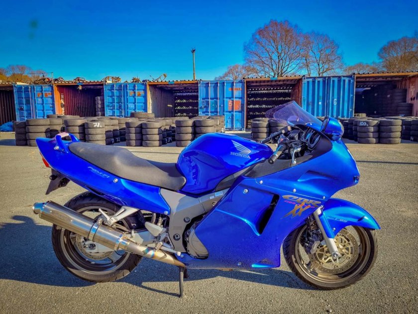 Honda cbr 1100 blackbird