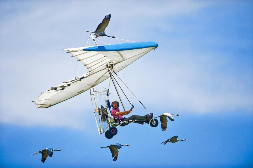 Дельтаплан полет Тарханкут