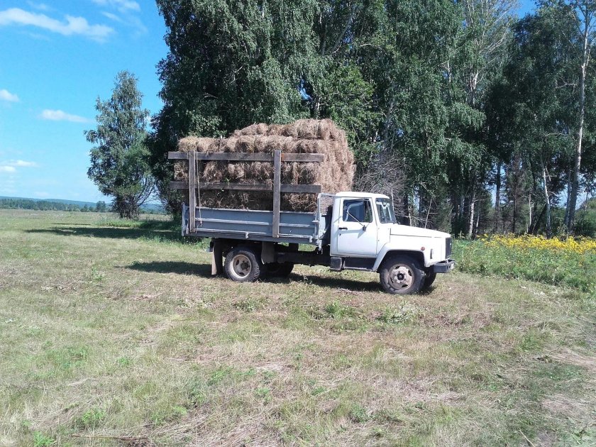 Сено на ГАЗ 3307