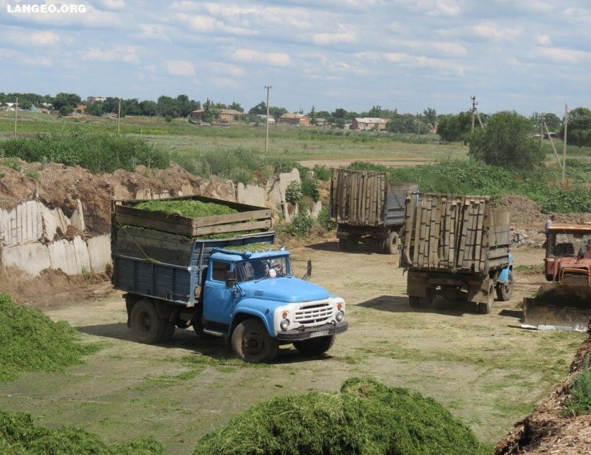 ЗИЛ 130 сенаж