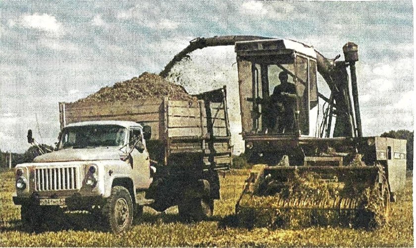 ГАЗ 53 на уборке силоса