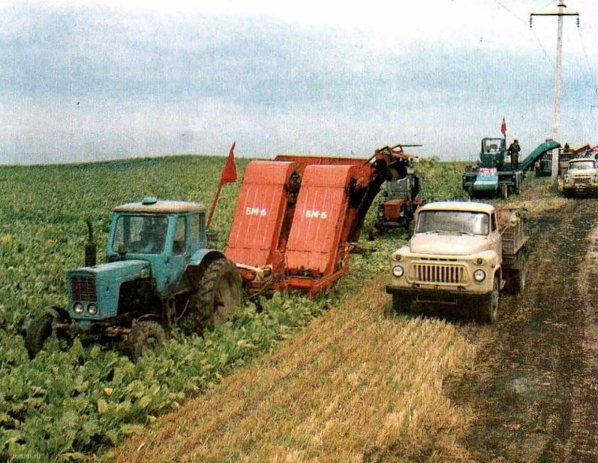 Трактор МТЗ 80калхоз ССР