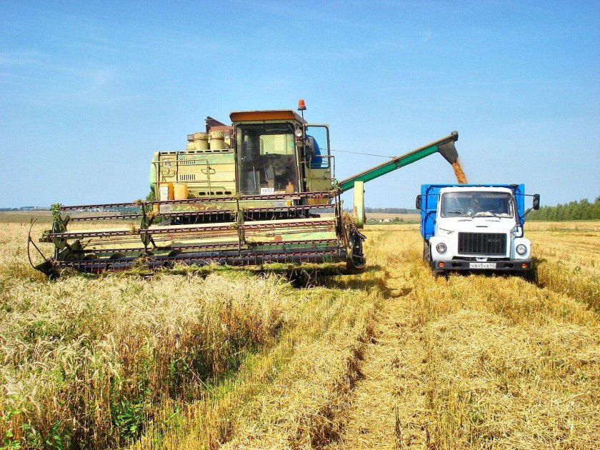 ГАЗ 53 уборка зерновых