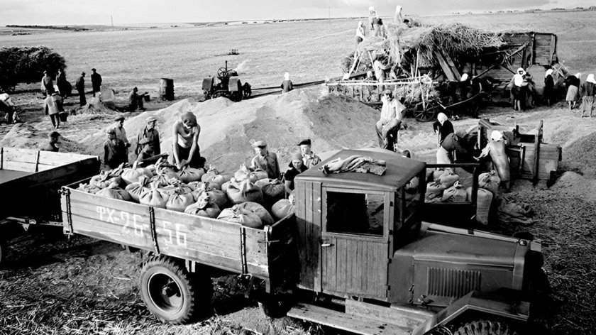 СССР сельское хозяйство 1950-60