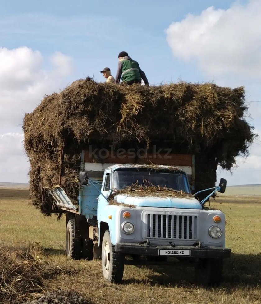 ГАЗ 53 С тюками сена