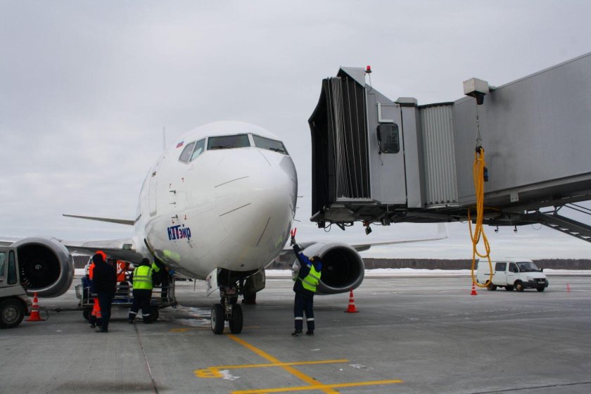Телетрап в аэропорту Домодедово