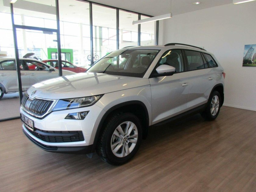 Кодиак серебристый Brilliant