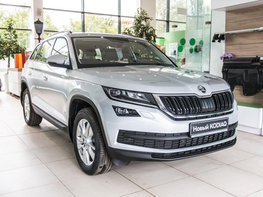 Skoda Kodiaq 2016 — 2022 i серый