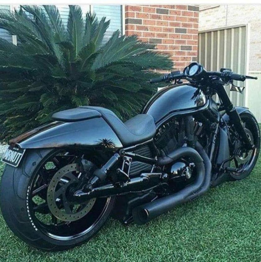 Harley davidson v rod custom