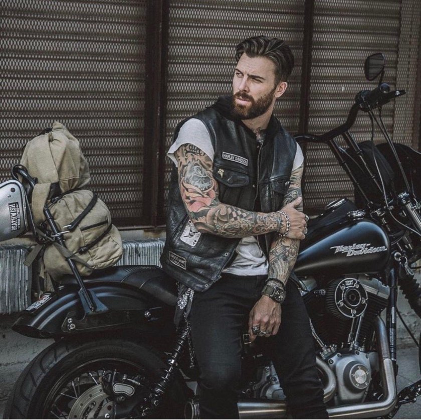 Levi stocke