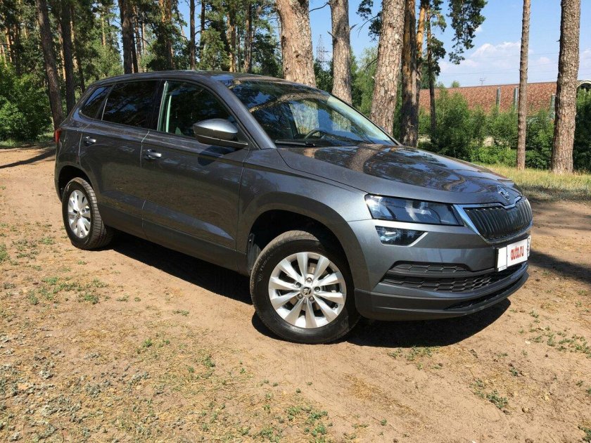 Шкода серая