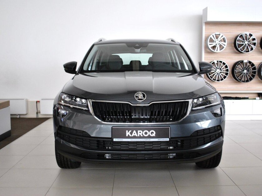 Škoda Karoq серый