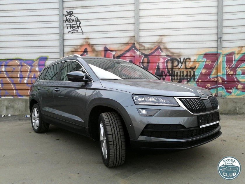 Skoda Karoq серый