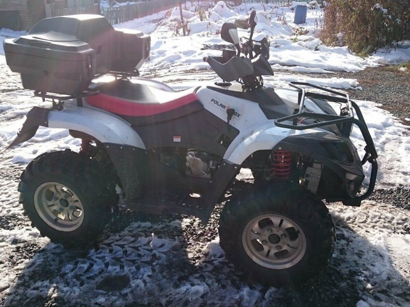 Полар Фокс 400