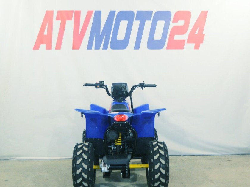 Linhai Yamaha Polar Fox