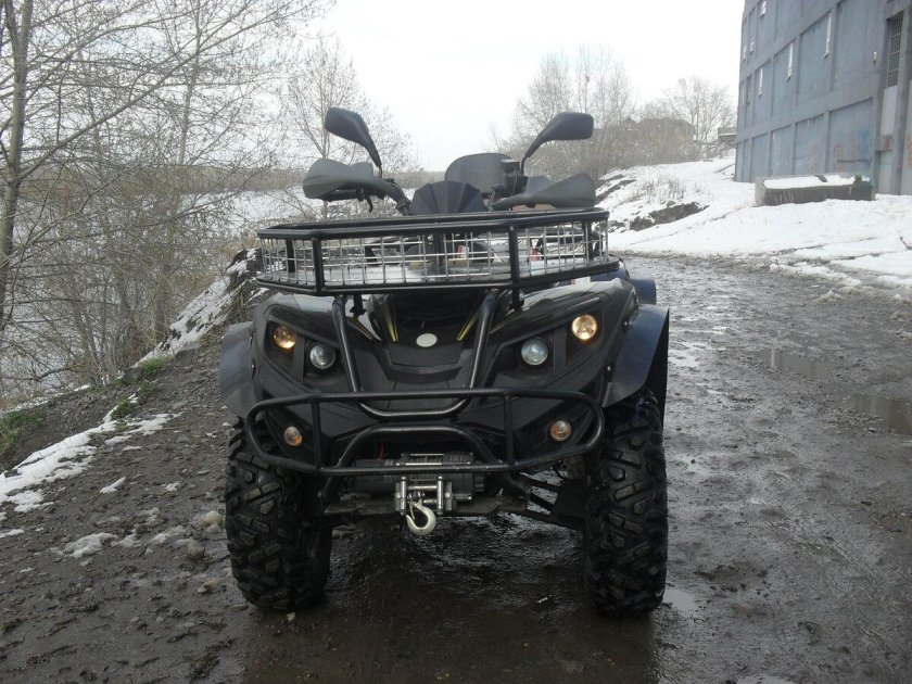 Полар Фокс 400