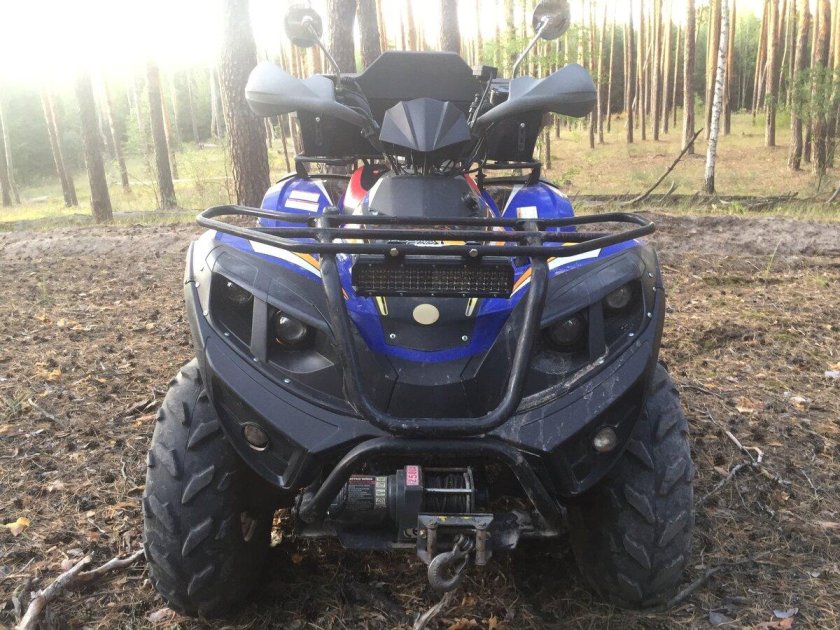 Полар Фокс 400