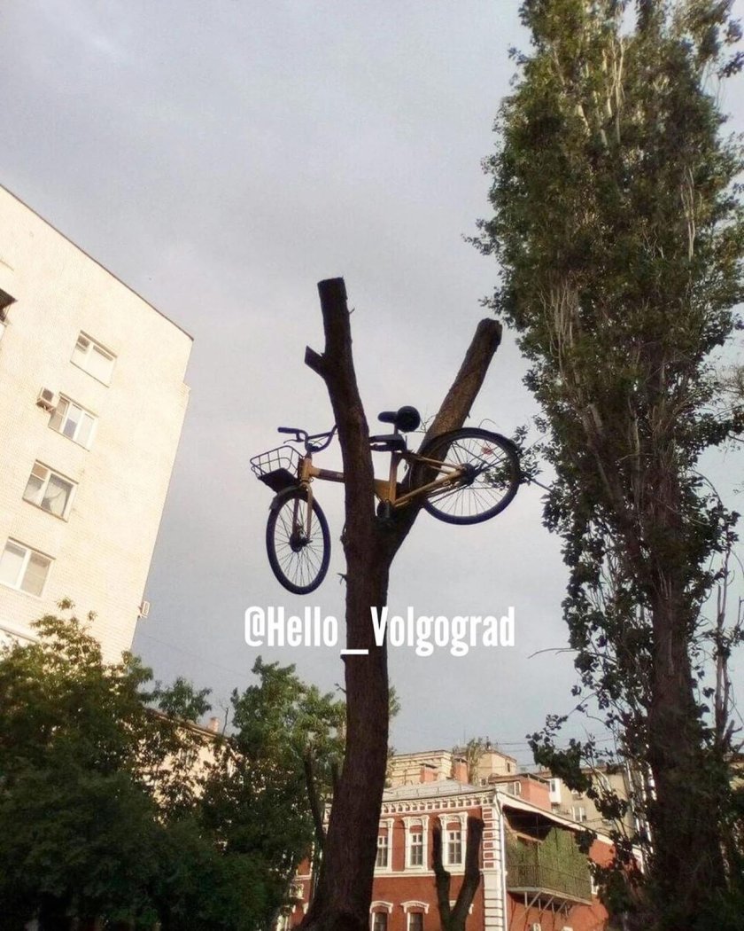 Велосипед в дереве