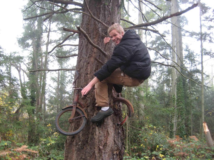 Велосипед врос в дерево