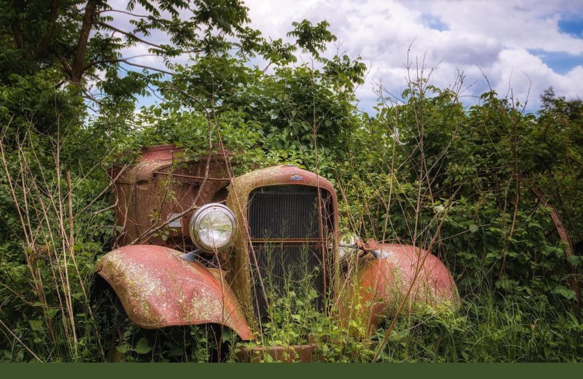 Машина вросла в дерево