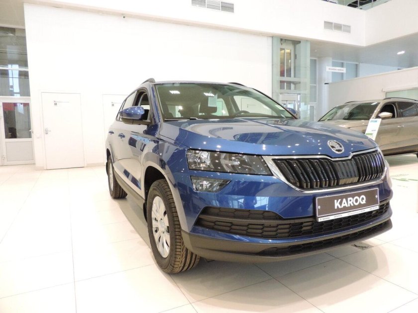 Skoda karoq i