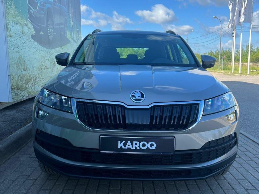 Skoda Karoq антихром