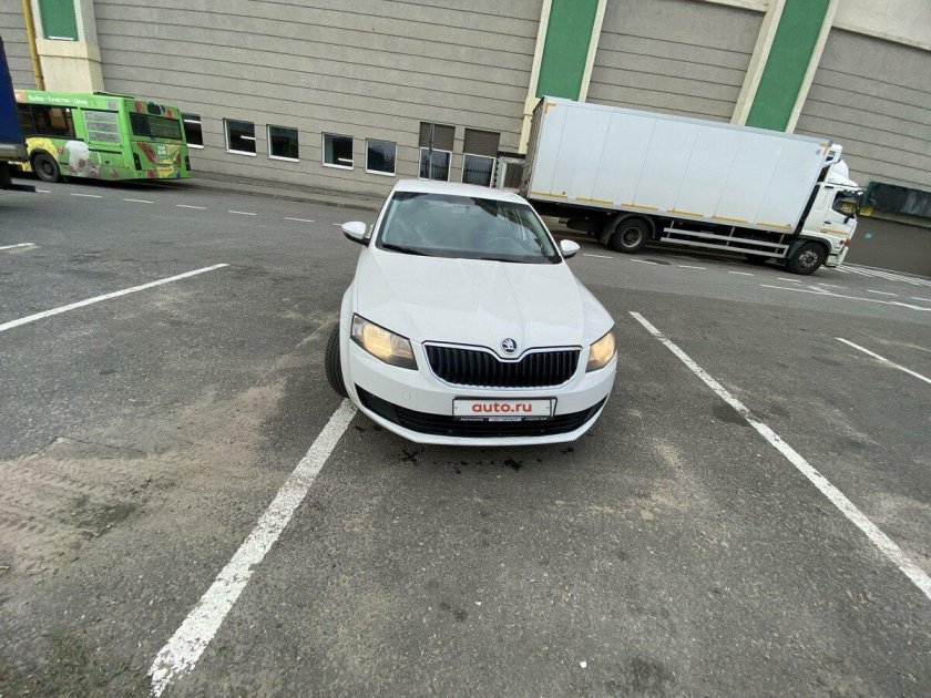 Шкода Рапид тонированная