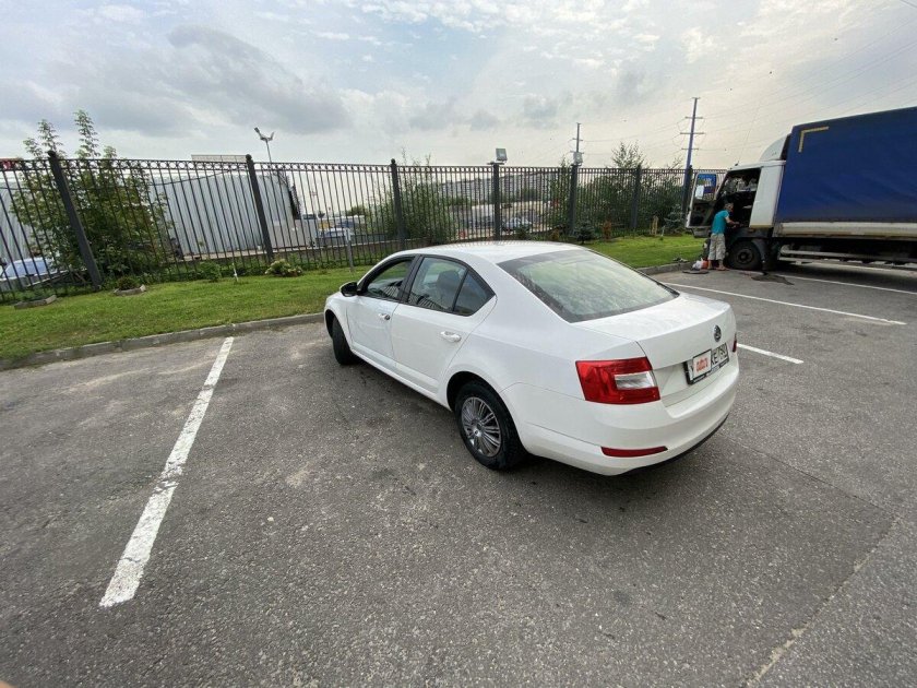 Тонировка задней полусферы