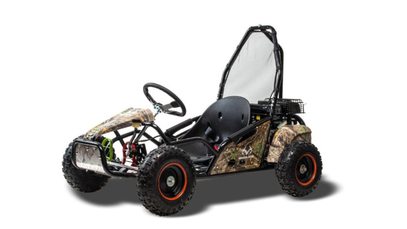 Багги Gokart 100