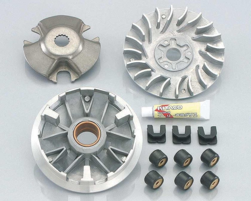 Вариатор BWS 100